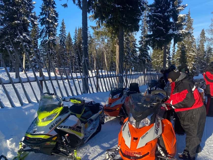 Pyhä: Forest Trails Snowmobile Safari - Through Pyhätunturi trails and Pyhä-Luosto National Park, at the right kind of pace