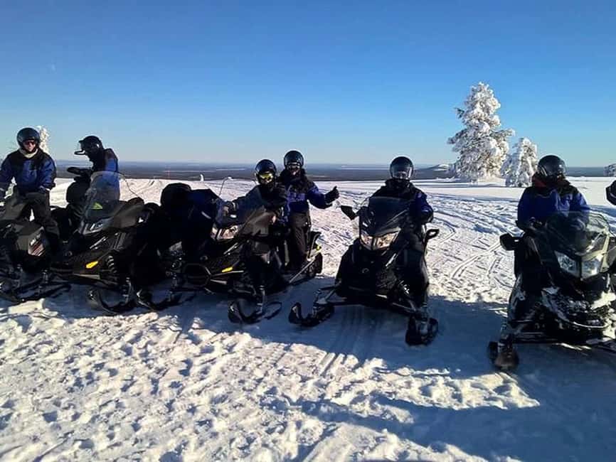 Pyhä: Forest Trails Snowmobile Safari - Wildlife facts that make the forest feel alive