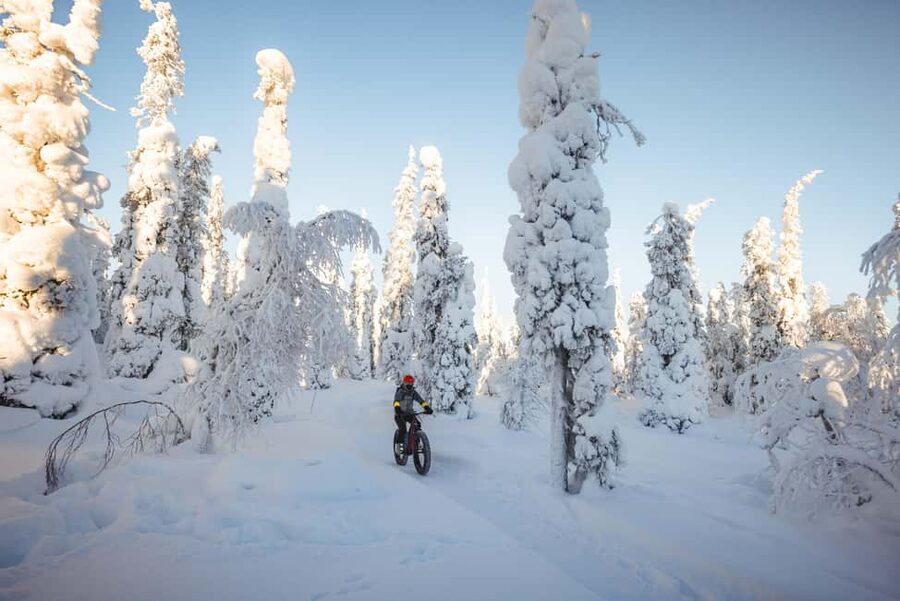 Pyhätunturi: Electric Fatbike Tour in Finnish Lapland - The Snow Paths: Safe Riding Technique and Real-World Comfort