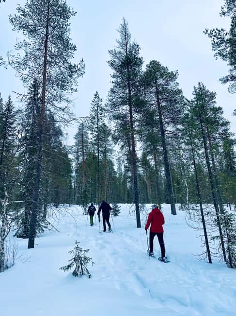 Pyhätunturi: Private Snowshoeing Tour With Local Guide - Campsite Magic: Warm Drinks and Open-Fire Food