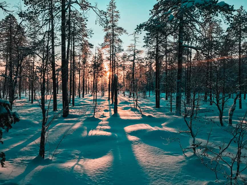Pyhätunturi: Private Snowshoeing Tour With Local Guide - Private Tour Value: Price, Time, and What You Actually Get