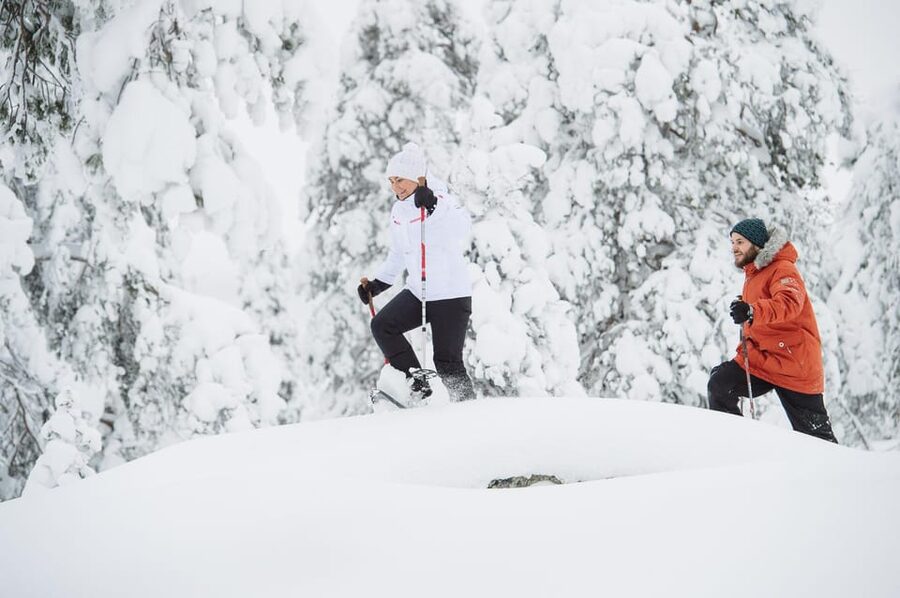 Pyhätunturi: Scenic Snowshoeing Tour in Finnish Lapland - Should you book the Pyhätunturi scenic snowshoeing tour?