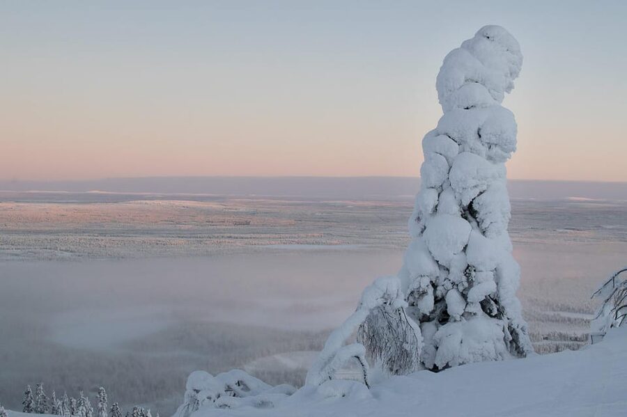 Pyhätunturi: Scenic Snowshoeing Tour in Finnish Lapland - Reindeer paddock stop: a gentle Arctic encounter