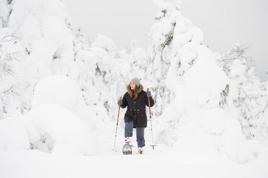 Pyhätunturi: Scenic Snowshoeing Tour in Finnish Lapland - Price and value: where the money actually goes