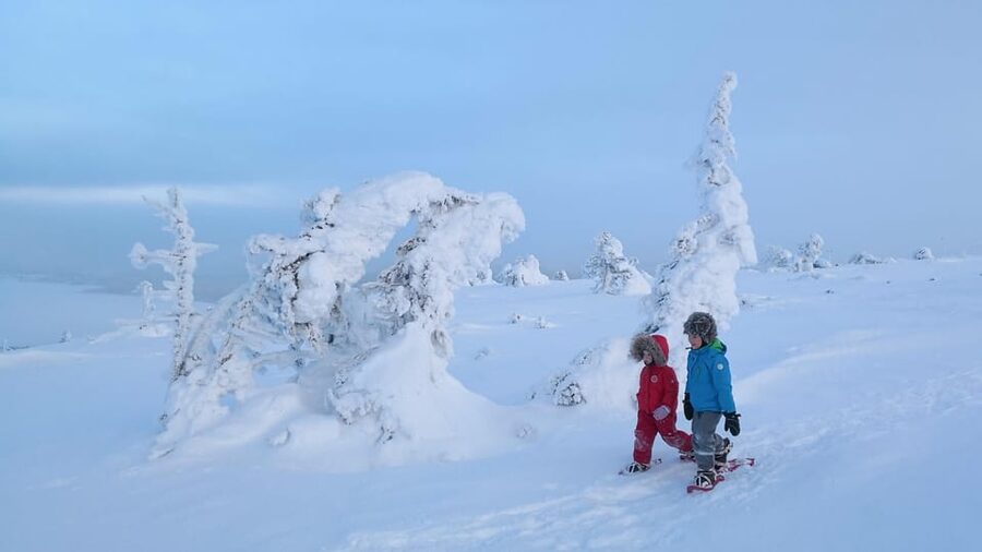 Pyhätunturi: Scenic Snowshoeing Tour in Finnish Lapland - What kind of traveler should book this snowshoe tour