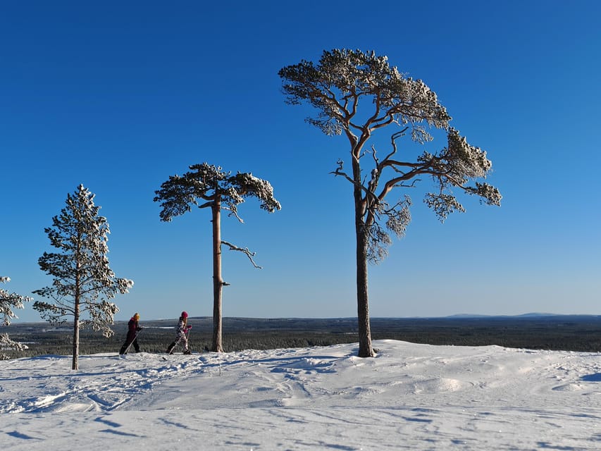 Pyhätunturi: Try Wilderness Skiing in Finnish Lapland - Price and value: why $133 can make sense for what you get