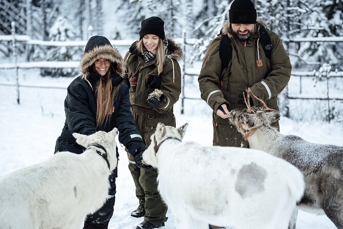 Ranua Lupland Activity Park Entry with Reindeer Experience - Key highlights worth planning around