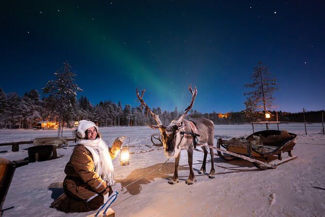 Ranua Lupland Aurora Activity Park – After Dark Adventure - Key things that make this after-dark aurora outing special