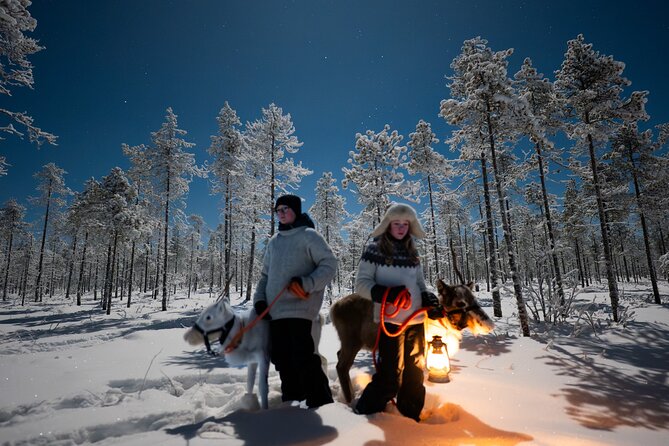 Ranua Lupland Aurora Activity Park – After Dark Adventure - Getting there: pickup times, small groups, and what to expect at 7:00 pm