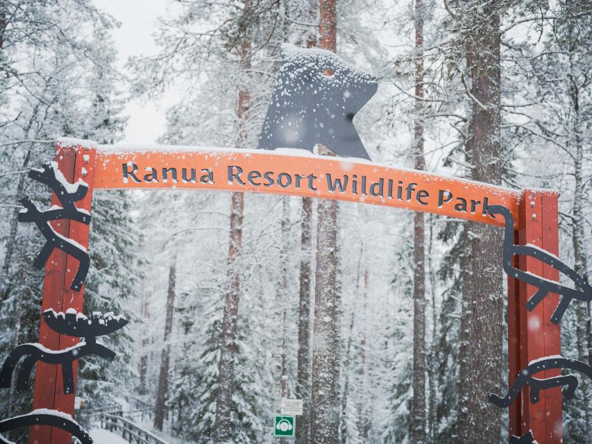 Ranua Wildlife Park Day: Visit the Arctic Animals - How the Rovaniemi pickup turns into a real Arctic day