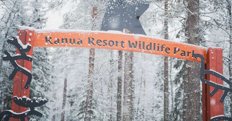 Ranua Wildlife Park Day: Visit the Arctic Animals - Should you book Ranua Wildlife Park Day?