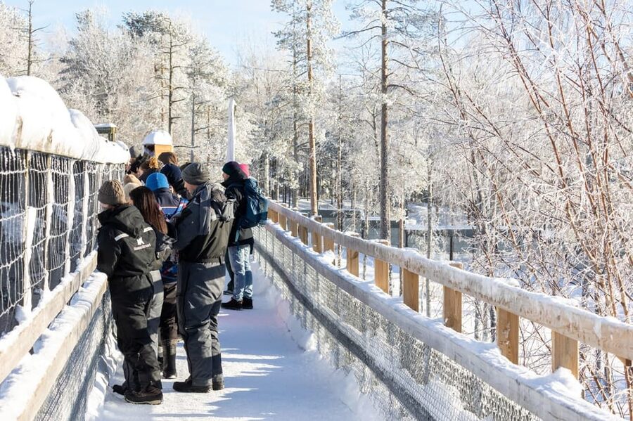 Ranua: Wildlife Park Entrance Ticket - Who Ranua is best for, and who might want another plan