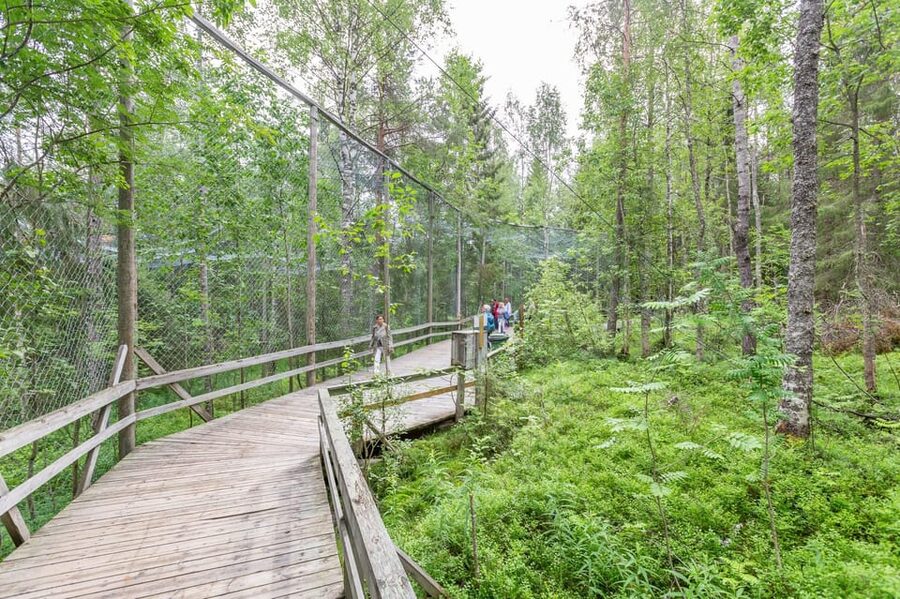 Ranua: Wildlife Park Entrance Ticket - Park rules you should know before you go, especially in winter