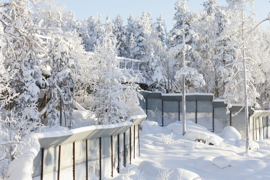 Ranua Wildlife Park Guided Tour from Rovaniemi, With Lunch - Price and Value for a 5-Hour Guided Tour