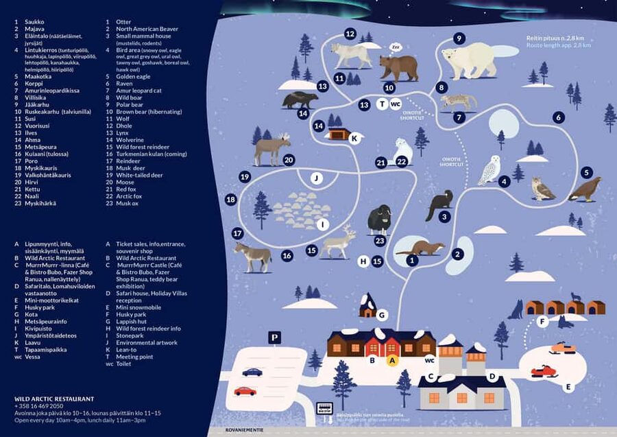Ranua Zoo - Getting There From Rovaniemi: A Scenic, Small-Group Forest Ride