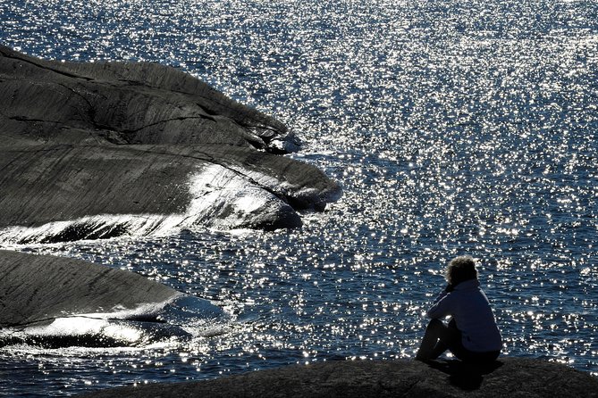 Redrib Archipelago Experience - The short island walk: views, berries, and a little nature time