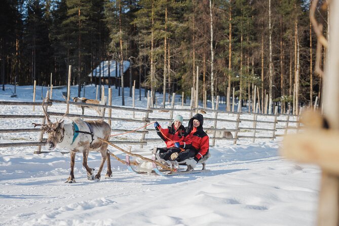 Reindeer Experience with Sledge Ride - The 500m Reindeer Sleigh Ride: Short, Cozy, and Likely the Best Part