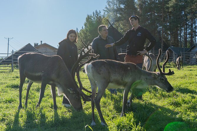 Reindeer Farm Experience in Summer and Autumn from Rovaniemi - From Jaakonkatu to the Lake Farm, in a Small Group
