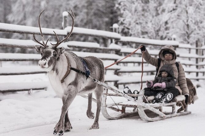 REINDEER FARM VISIT a real authentic experience - Key points to know before you go