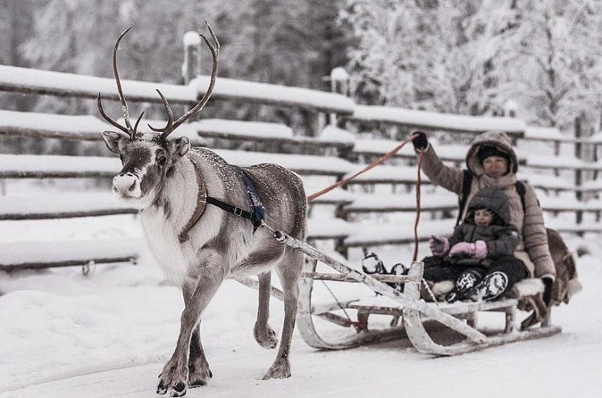 REINDEER FARM VISIT a real authentic experience - Price and Value: What $120.02 Buys You