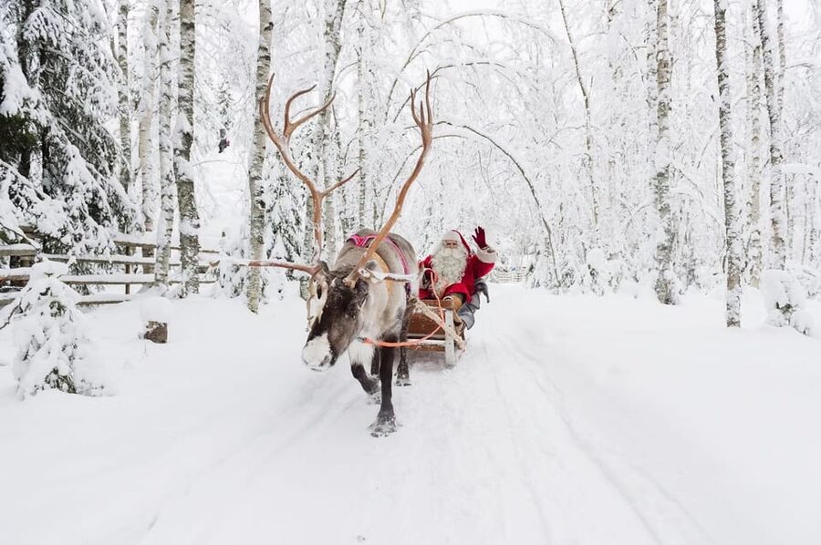 Reindeer Farm Visit with Sleigh Ride - Sleigh ride: classic fun, but it is short by design