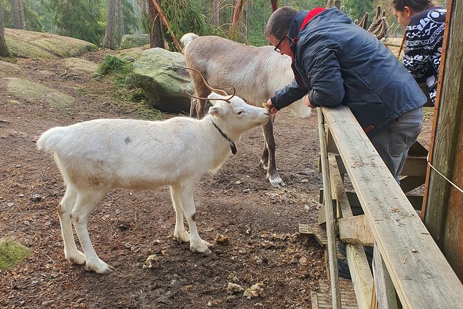 Reindeer Park Adventure - Price and logistics: what you pay, what might cost extra