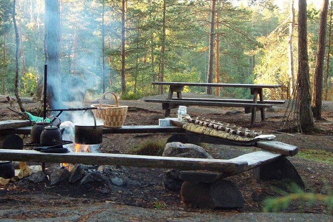 Reindeer Park Adventure - Who should book this reindeer outing