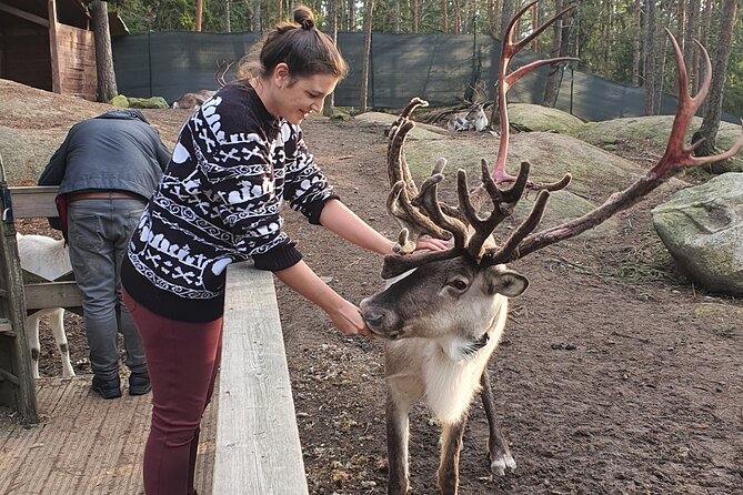Reindeer Park Adventure - Should you book the Reindeer Park Adventure?