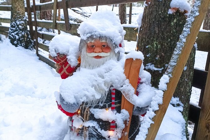 Reindeer Park & Horse Stables Safari - Key highlights you should know first
