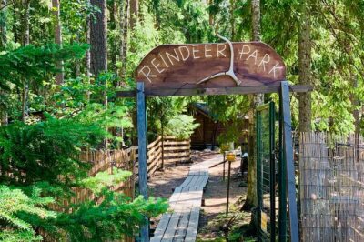 Reindeer Park & Horse Stables Safari
