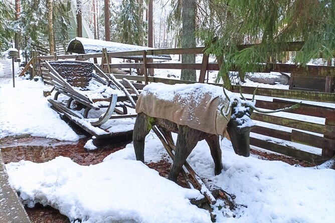 Reindeer Park & Horse Stables Safari - Timing, weather needs, and language expectations