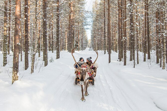 Reindeer Safari in Arctic Wilderness - The sled ride itself: safe, gentle, and very old-school