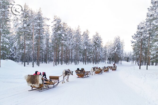 Reindeer Safari in Arctic Wilderness - Should you book the Reindeer Safari in Arctic Wilderness?