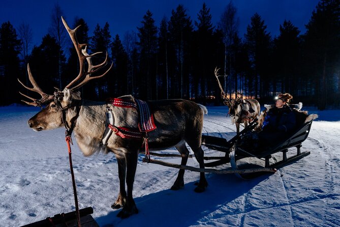 Reindeer Sleigh Ride Across the Night in Apukka Resort Rovaniemi - Why a nighttime reindeer sleigh ride feels special in Rovaniemi