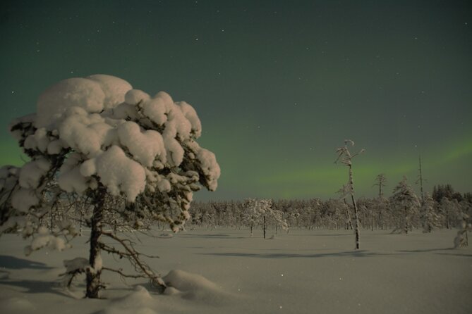 Reindeer Sleigh Ride Across the Night in Apukka Resort Rovaniemi - The drive out: getting to the reindeer area from Apukka Resort