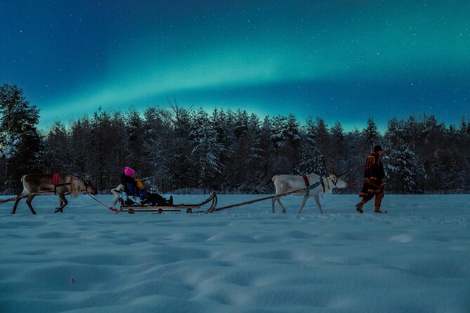 Reindeer Sleigh Ride Across the Night in Apukka Resort Rovaniemi - On the reindeer sleigh: the slow magic of the dark forest