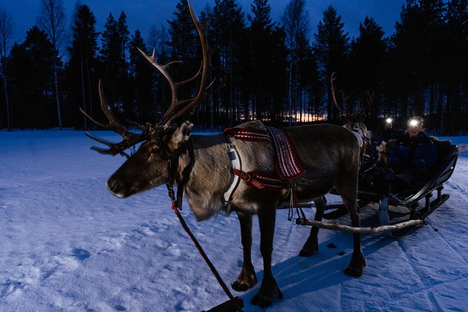 Reindeer Sleigh Ride Across the Night in Apukka Resort Rovaniemi - The fire-stop: sausages, hot juice, and close reindeer time