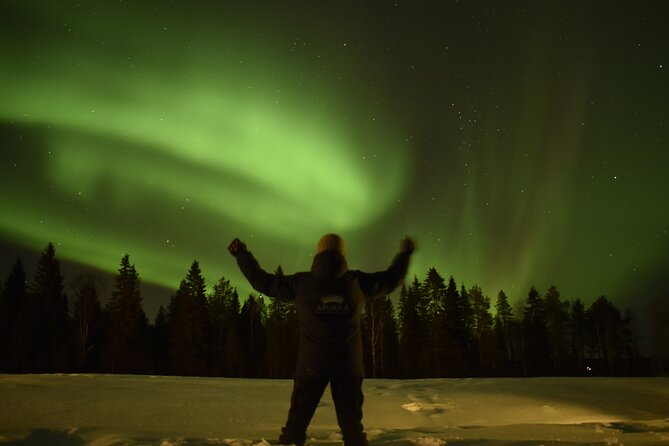 Reindeer Sleigh Ride Across the Night in Apukka Resort Rovaniemi - Price and value for a 3-hour Apukka night safari