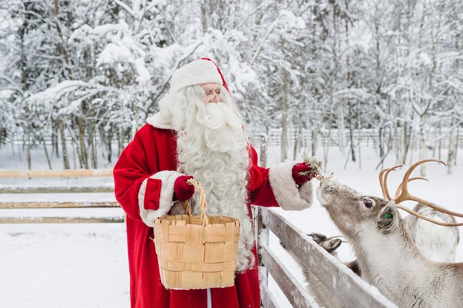 Reindeer Sleigh Ride and Farm Experience from Rovaniemi - Key points to know before you go