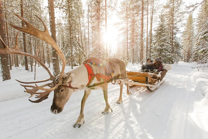 Reindeer Sleigh Ride and Farm Experience from Rovaniemi - Snack Stop Comfort: Ginger Cookies, Hot Blueberry Juice, and Warm-Up Time