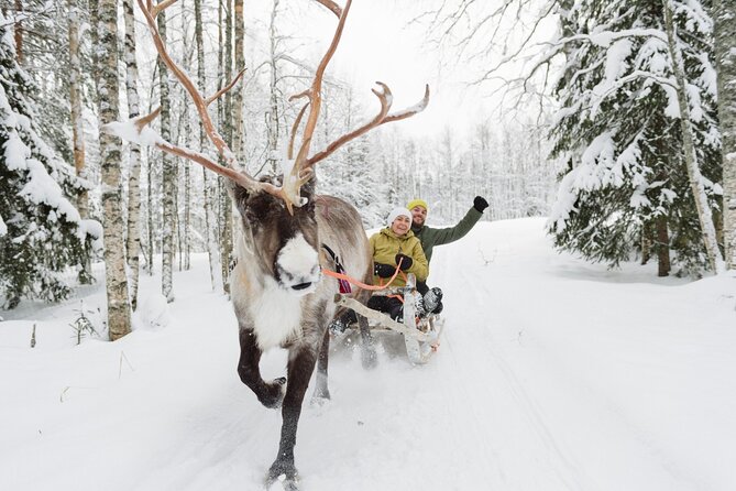 Reindeer Sleigh Ride and Farm Experience from Rovaniemi - Group Size and Restrooms: The Quiet Details That Affect Your Day