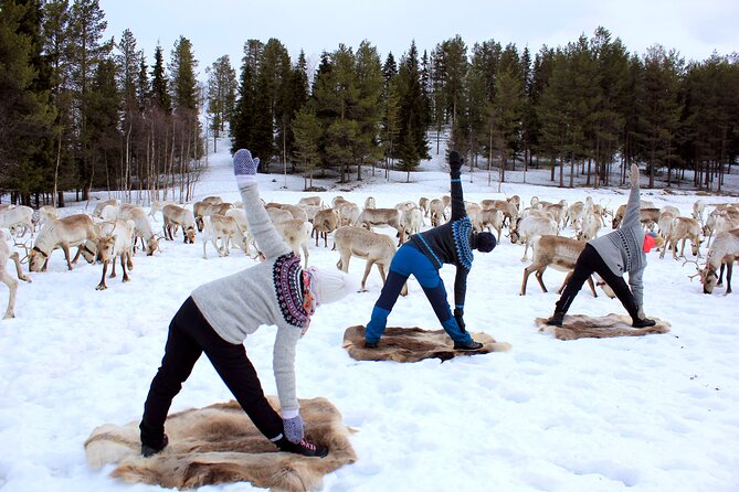 Reindeer yoga - Quick hits