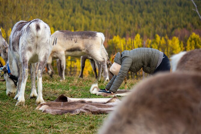 Reindeer yoga - Your 90 Minutes: How the Class Flows