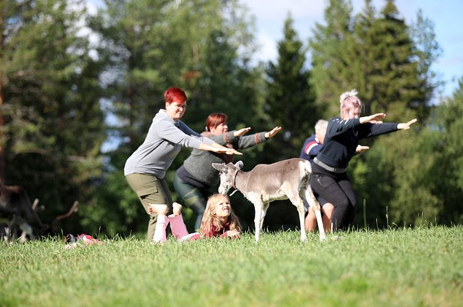Reindeer yoga - What to Wear for Northern Stillness Around the Herd