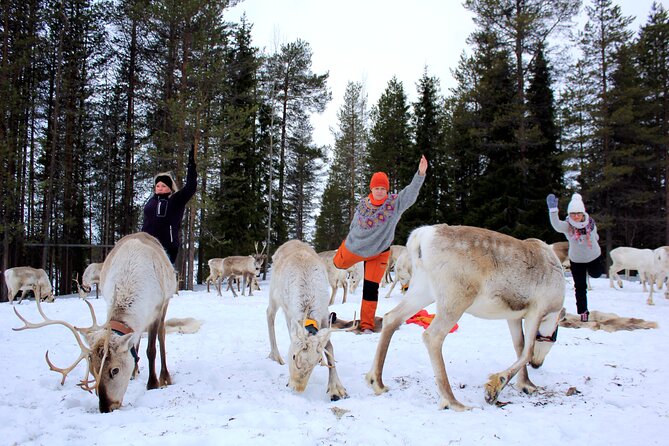 Reindeer yoga - Who This Is Best For, and Who Might Skip