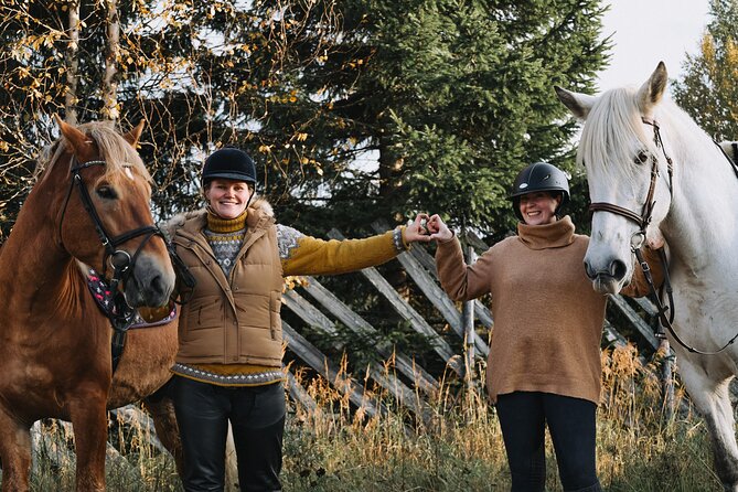 Riding Tour with Finnhorses at Santa Claus Village - Why Finnhorses Feel Right for a Winter Ride