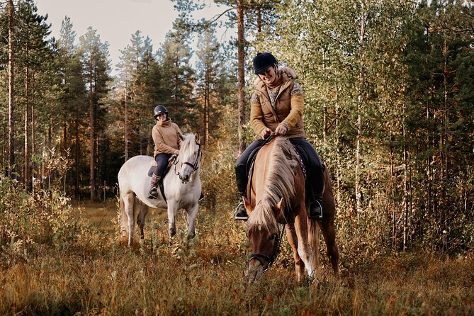 Riding Tour with Finnhorses at Santa Claus Village - Weather, Timing, and Booking Smart Moves