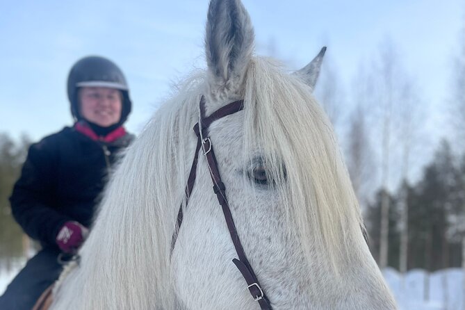 Riding Tour with Finnhorses at Santa Claus Village - Getting Oriented: Safety Rules and a Calm Pace