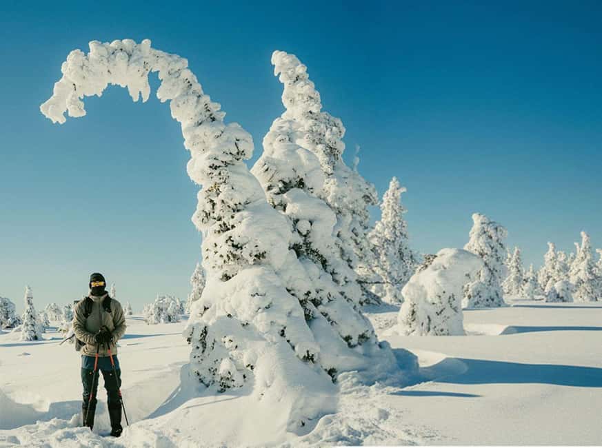 Riisitunturi & Frozen Waterfall Full Day Tour with Photos - Riisitunturi plus Korouoma in one winter day