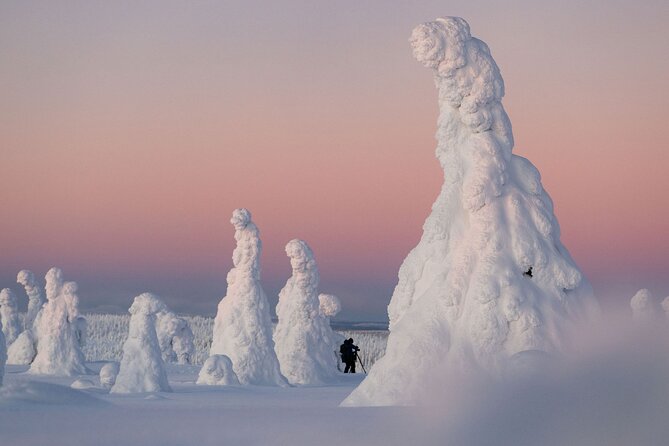 Riisitunturi Snow Monsters Winter Hike from Rovaniemi with Lunch - Key highlights to look for